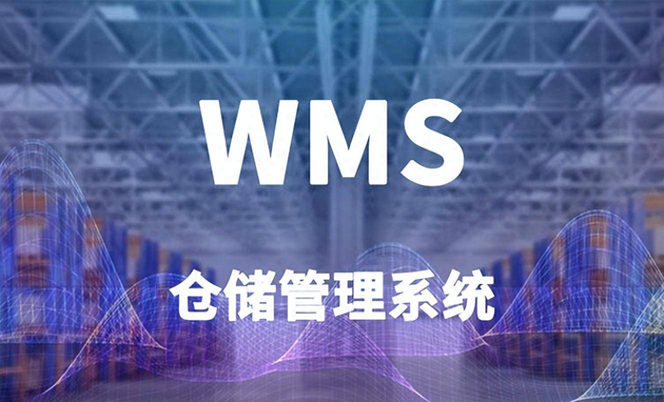 ERP/WMS系统